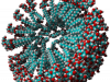 What are Micelles