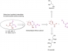 butanolides